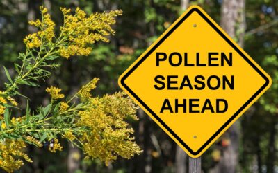 Protect Your Kids Against Spring Allergies
